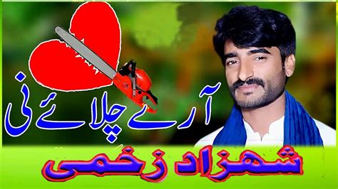 Arey Chalay Ni Saraiki Song Shahzad Zakhmi By Bhatti Movies Layyah 0300