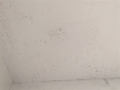 Is this mold/mildew? Is it a concern? (Bathroom Shower Ceiling) - Home Improvement Stack Exchange