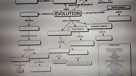 Todo Lo Que Necesitas Saber Acerca Del Mapa Conceptual Sobre Sustancias Sexiz Pix