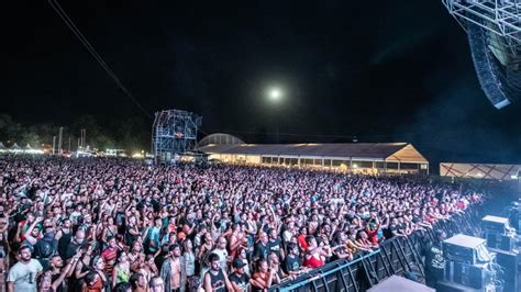 Ska P Enciende La Estampida Del Festival Rabolagartija En Villena