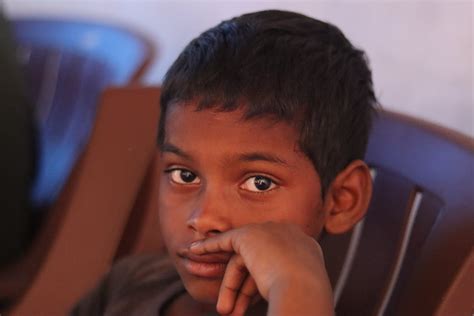 brown hair boy      brown hair boy stock