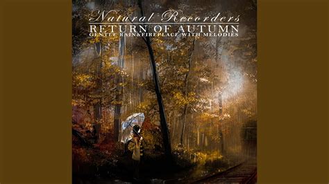 Return Of Autumn Falling Sycamore Leaf Youtube Music