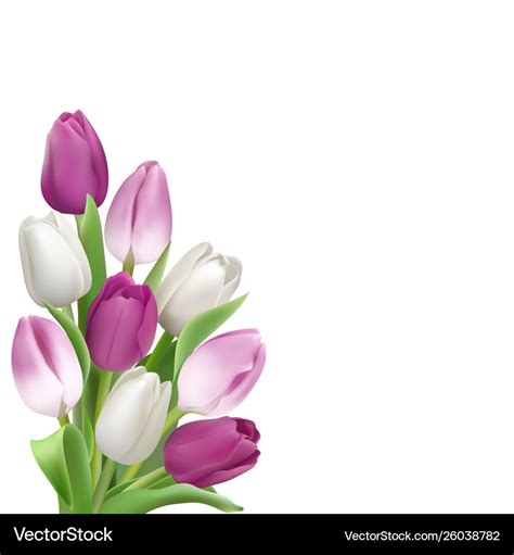 Card Template With Colorful Tulips Royalty Free Vector Image