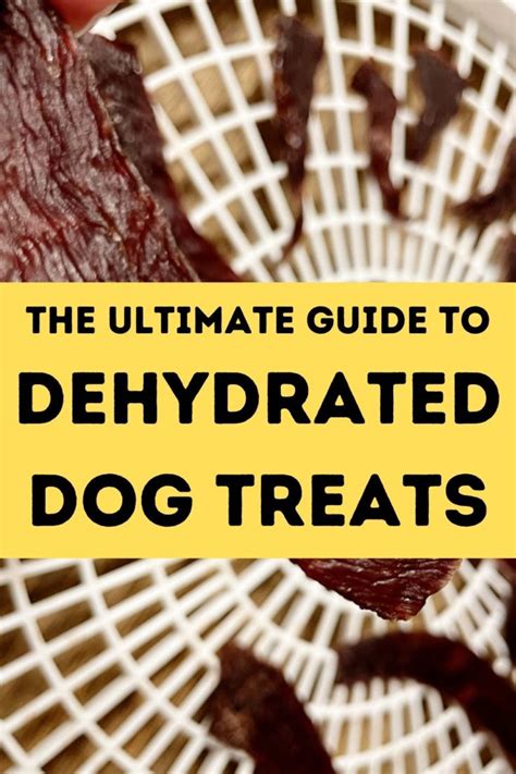 Dehydrated Dog Treats: Your Ultimate Guide to Making Treats and Chews!