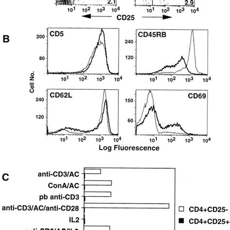 Characterization Of CD4 CD25 Cells A Total Lymph Node Cells Left