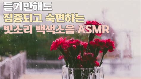 최고의 숙면을 위한 편안한 빗소리 Asmr 🌧🌧 10분이면 잠드는 빗소리 백색소음 Youtube