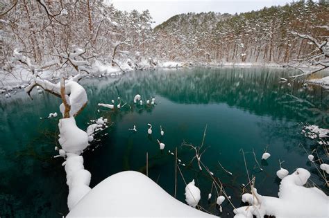 The Goshikinuma Nature Trail Takes You Up Close To Colourful Ponds