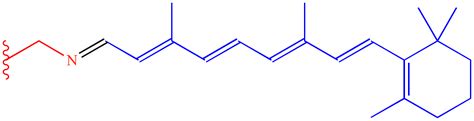 Illustrated Glossary of Organic Chemistry - Rhodopsin