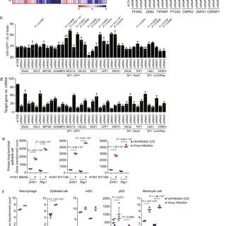 Pdf Mitochondria Localised Znfx Functions As A Dsrna Sensor To