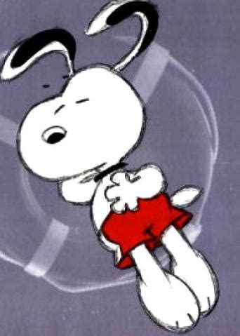 SnoopySleeping.jpg