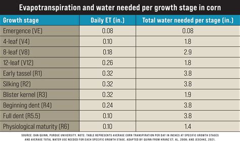 How Drought Stress Impacts Corn In Reproductive Stages