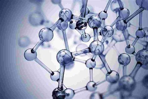 Bioelementos Y Biomolг Culas Estructura Y Funciones NBKomputer