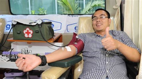 7 Manfaat Hebat Dari Donor Darah Warta Sulsel