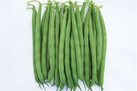 The Best Green Bean Varieties You'll Want To Grow - Growing Produce