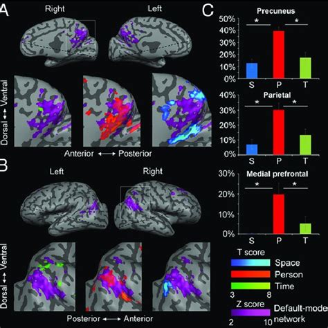 Overlap Of Orientation Activity With The Default Mode Network Dmn Download Scientific