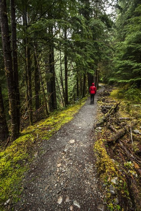 Enchanted Valley Trail to Pony Bridge | Outdoor Project