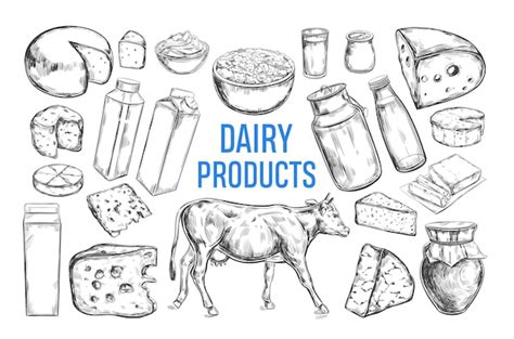 Premium Vector Dairy Products Set