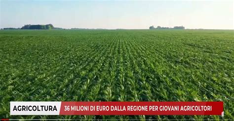 Agricoltura Milioni Di Euro Dalla Regione Per Giovani Agricoltori