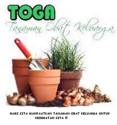 Tanaman Obat Keluarga Toga Dawan Klod Leaflet