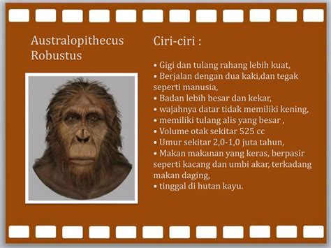 Nama Tokoh Peneliti Manusia Purba Di Indonesia Sejarah 9