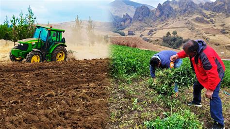 Ayacucho 978 Hectáreas De Cultivos Se Perdieron En La última Campaña