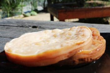 9 SCOBY Recipes to Creatively Use Kombucha Leftovers