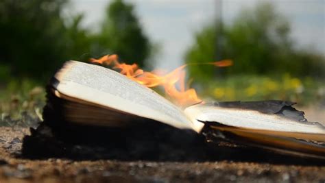 Book On Fire Stock Footage Video - Shutterstock