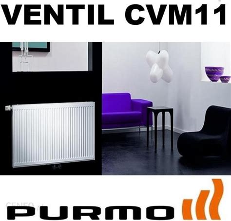 Grzejnik Pokojowy Purmo Ventil Compact M Cvm11 300X400 Opinie I Ceny