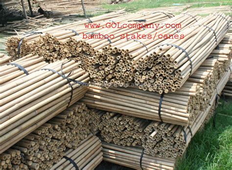 Bamboo Raw Materials Natural Tam Vong Bamboo Pole Solid Cane Dry