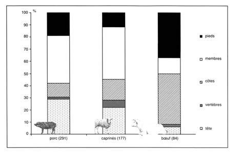 répartition anatomique des restes des trois principales espèces de