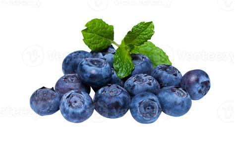 Berry Png Transparent Background 29228584 Png