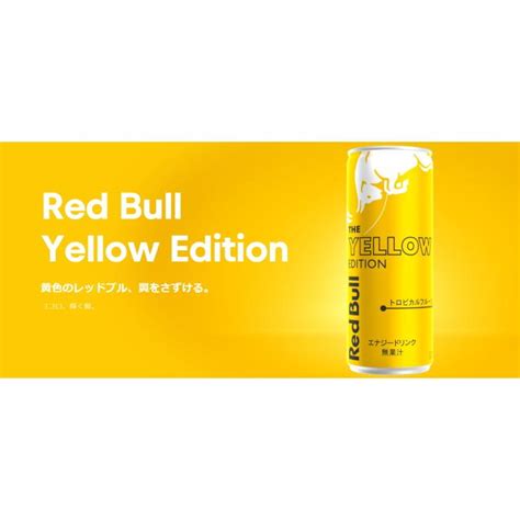 送料無料 レッドブル エナジードリンク 250ml缶 48本24本×選べる2ケース Red Bull シュガーフリー イエロー パープル