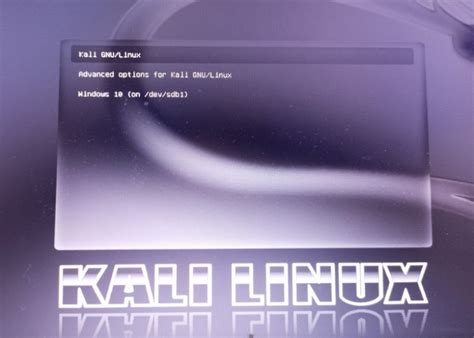 How To Dual Boot Kali Linux With Windows 10 Linuxways