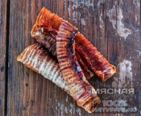 Трахея говяжья развернутая 100 купить в интернет-магазине Zoocent по ...
