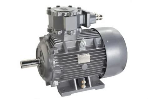 Lhp Make All Types Of Electric Motors Lhp Std Induction Motor