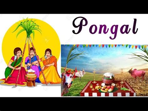 Few Lines About Pongal 10 Lines On Pongal In English An Short Essay