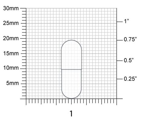 Capsule Size Guide | Interactive Specification Chart