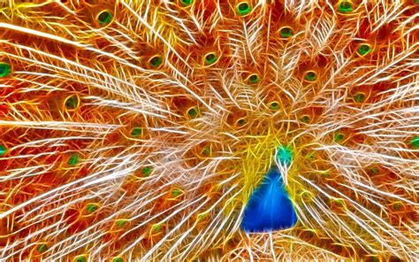 Solve Fractal Peacock Jigsaw Puzzle Online With 54 Pieces