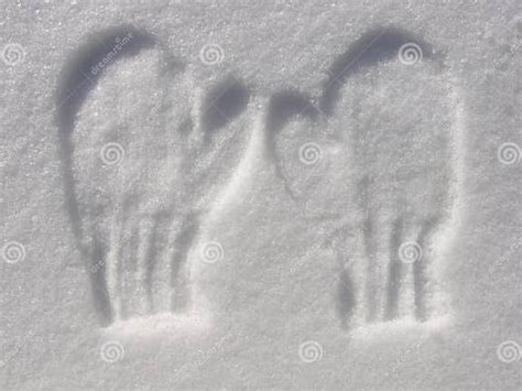 Imprint Of Mittens In Snow Stock Image Image Of Fresh 12660401