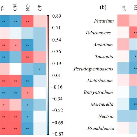 Pearson Correlation Analysis Between Soil Physicochemical Properties