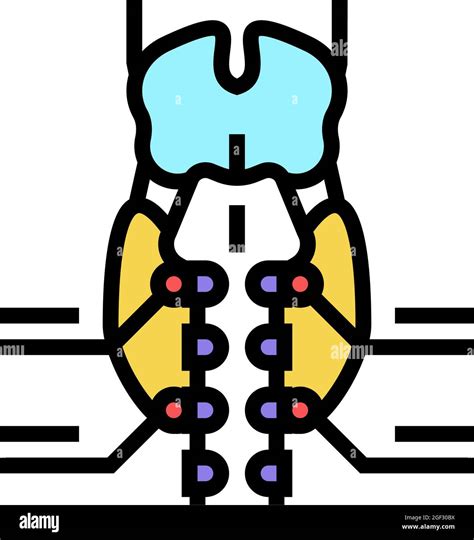 Parathyroid Gland Endocrinology Color Icon Vector Illustration Stock