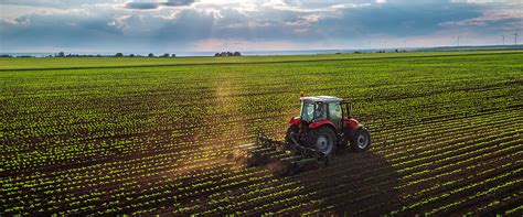 Saiba Como Alavancar A Agricultura Sustent Vel Did