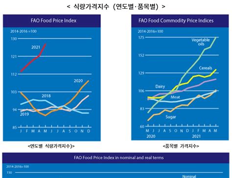 2021년 5월 세계식량가격지수 유지류·설탕·곡물 지수 크게 상승