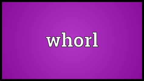 Whorl Meaning - YouTube