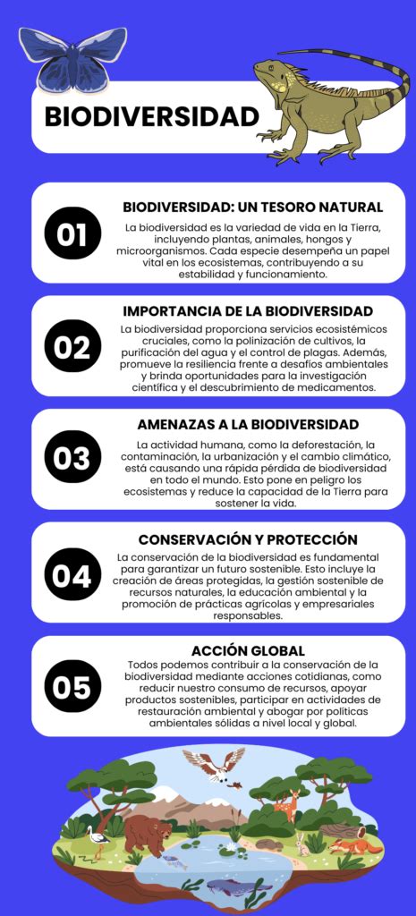 Infografías De La Biodiversidad 【descargar】