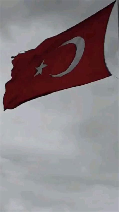 Türk🇹🇷 Anlatımlı çizim Bozkurt Bayrak