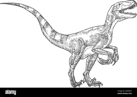 Ilustraci N Del Vector De Doodle De Dinosaurio Prehist Rico Dibujo De