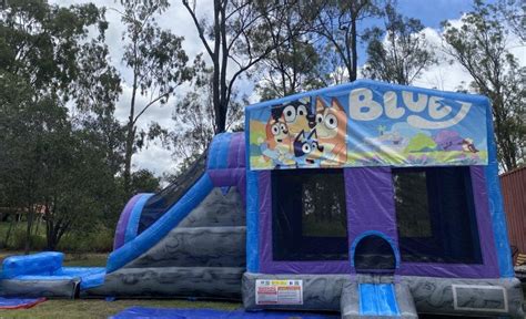 Bluey Jumping Castle With External Dry Slide Gowild Castles And Party