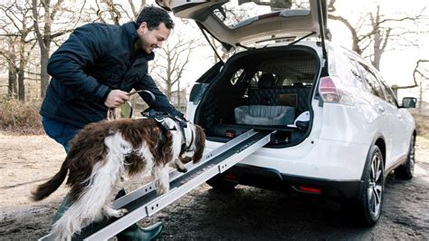 Top Gears Top 9 The Best Cars For Dogs Top Gear