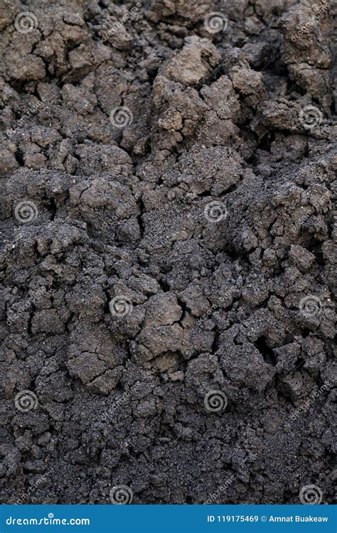 Background Of Soil Humus, Black Clay Soil Texture, Soil Organic For ...